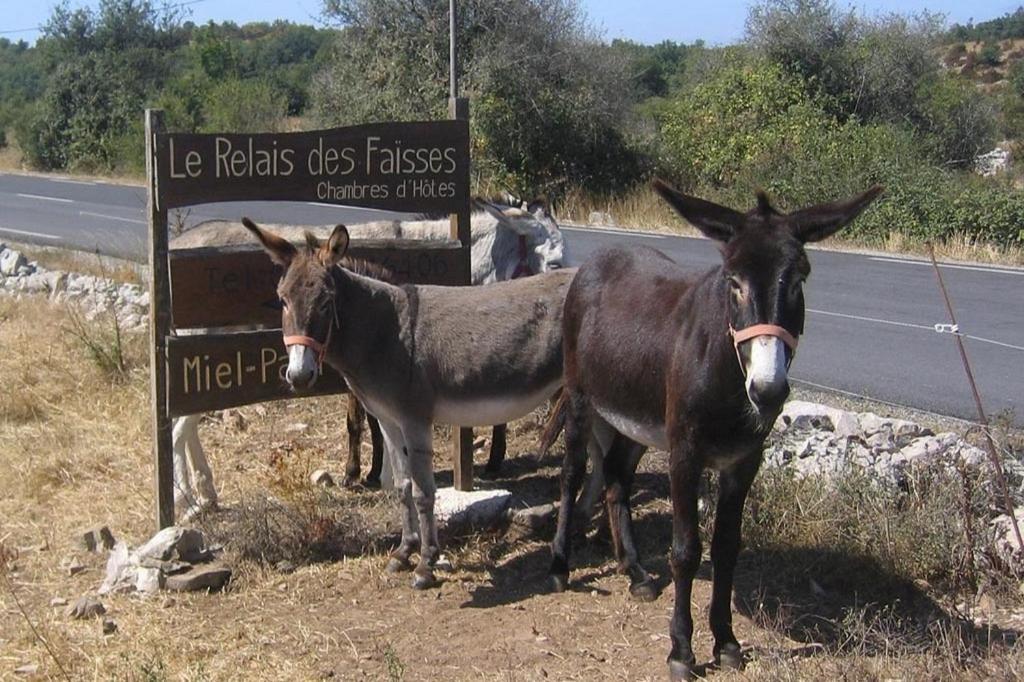 Le Relais Des Faisses Bed and Breakfast La Vacquerie-et-Saint-Martin-de-Castries Eksteriør billede